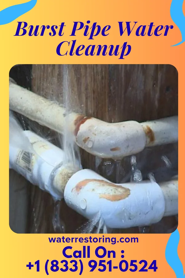 Burst Pipe Water Cleanup in Demarest, NJ