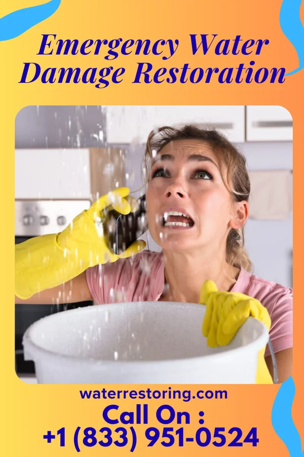 Emergency Water Damage Restoration in Demarest, NJ