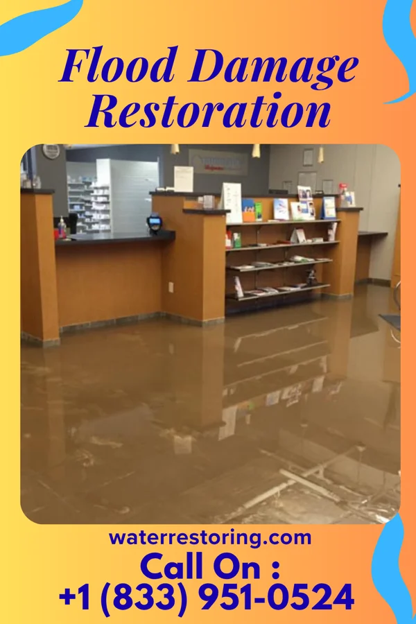 Flood Damage Restoration in Demarest, NJ