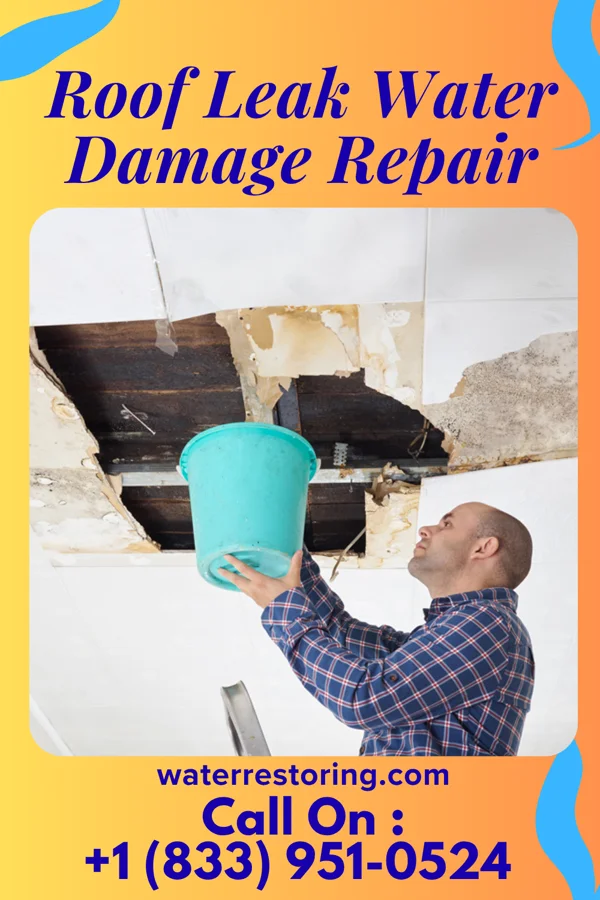 Roof Leak Water Damage Repair in Demarest, NJ