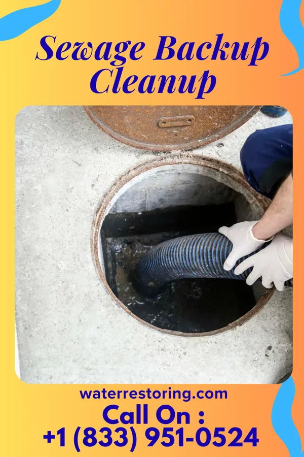 Sewage Backup Cleanup in Demarest, NJ