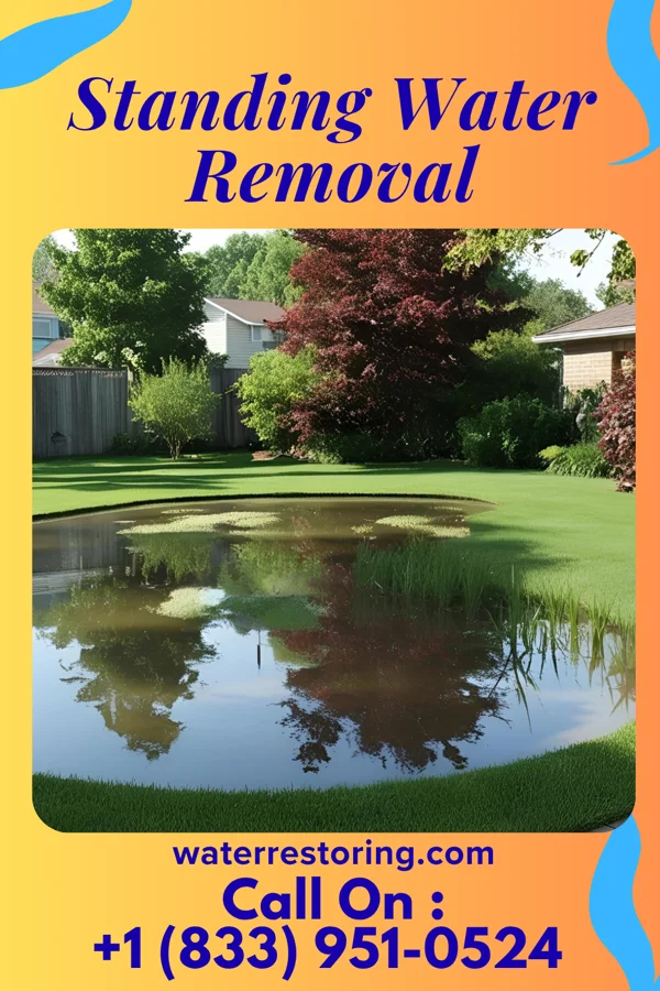 Standing Water Removal in Demarest, NJ